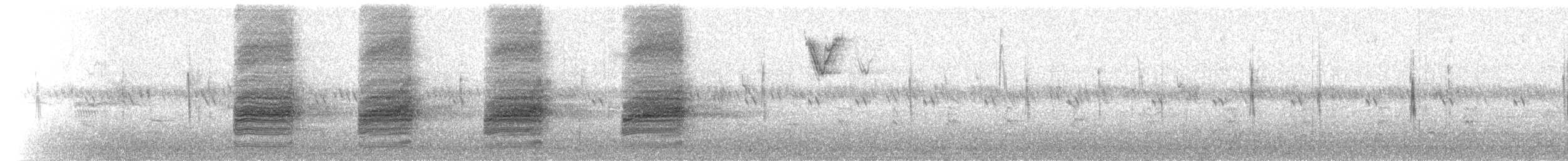 Loggerhead Shrike - ML172470751