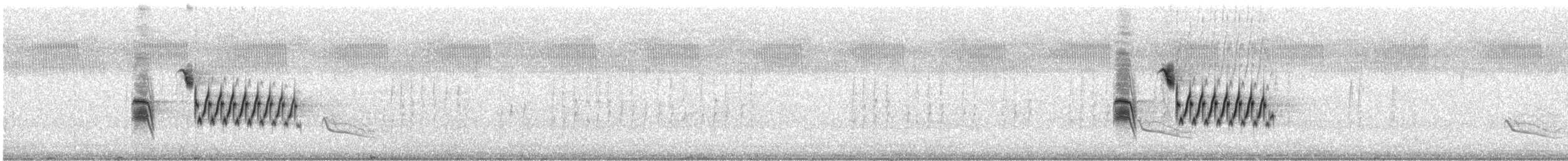 Rötelgrundammer (alleni/rileyi) - ML172478421