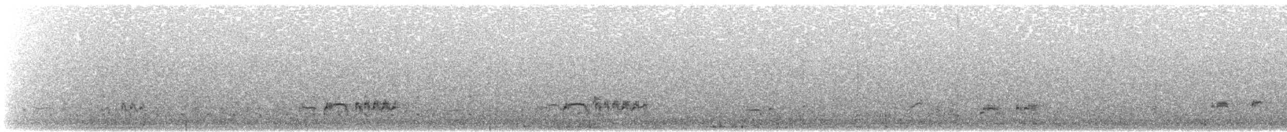 Western Grebe - ML172485041