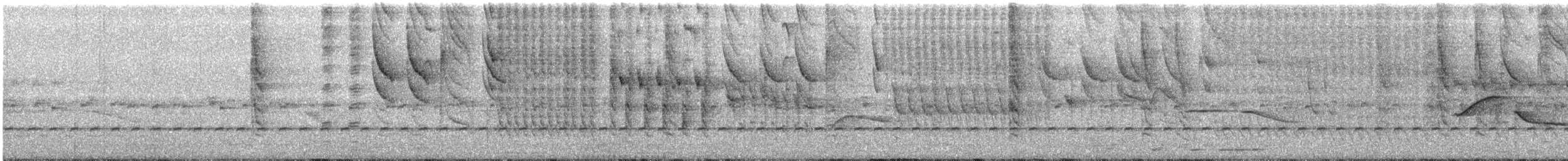 Black-and-white Seedeater - ML172548131