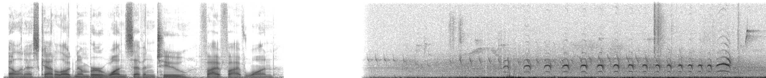 Streak-backed Antshrike - ML172551
