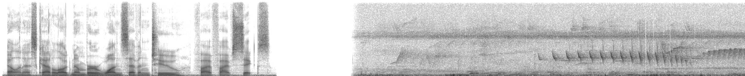 Weißkehl-Ameisenschlüpfer - ML172556