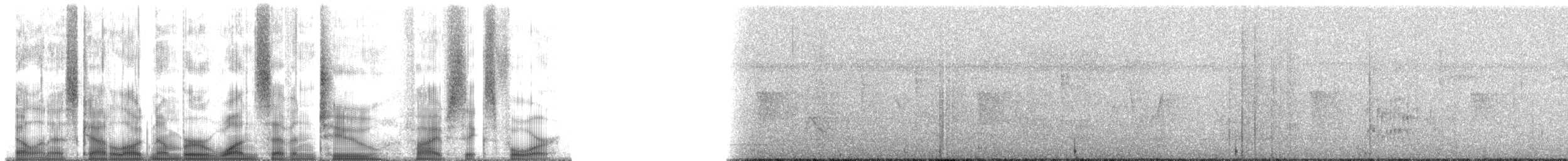 Olivaceous Schiffornis - ML172564