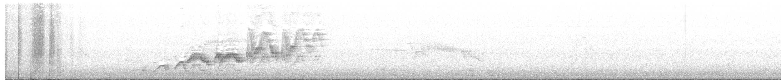 Дрізд-короткодзьоб Cвенсона - ML172566511