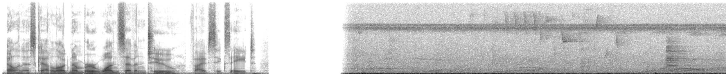 hvitkronemanakin (pipra) - ML172568