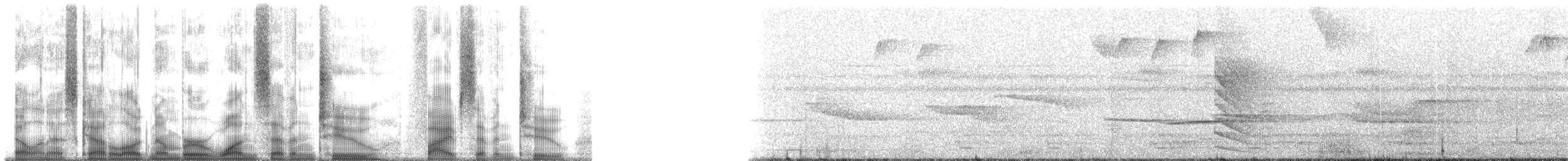 Тиранчик-мухолюб рудогрудий (підвид macconnelli) - ML172572