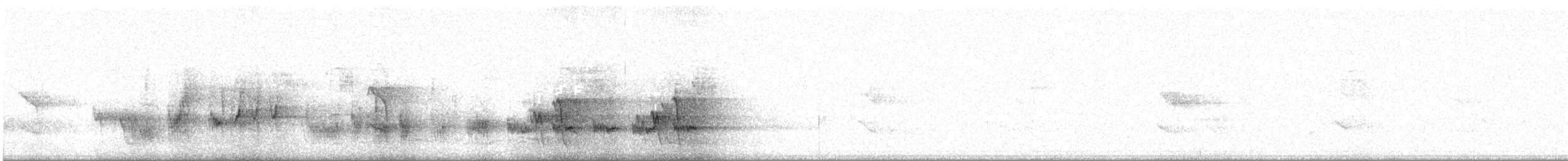 svarthakehonningeter - ML172575241