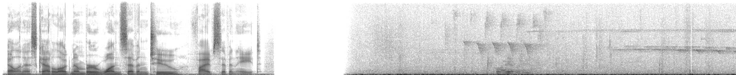 Troglodyte coraya - ML172578