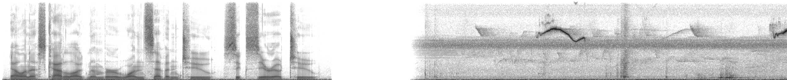 Azure-rumped Tanager - ML172602