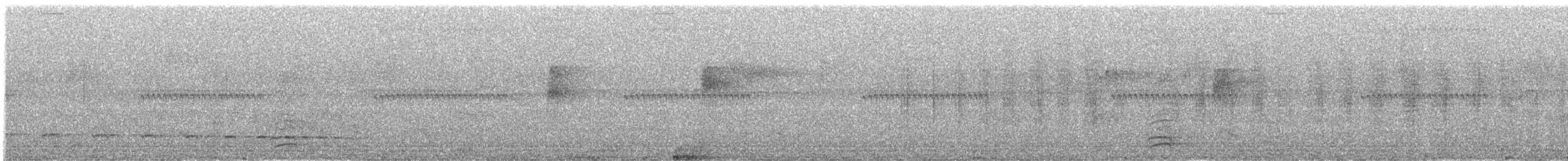 Olivgrau-Ameisenvogel - ML172619081