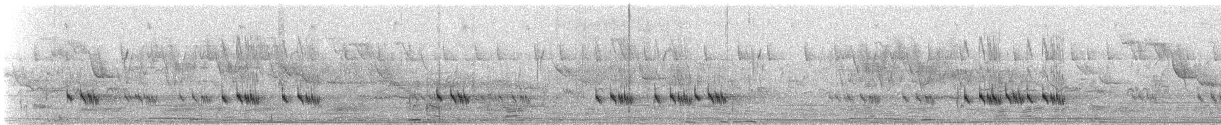 pirolkjernebiter - ML172622071