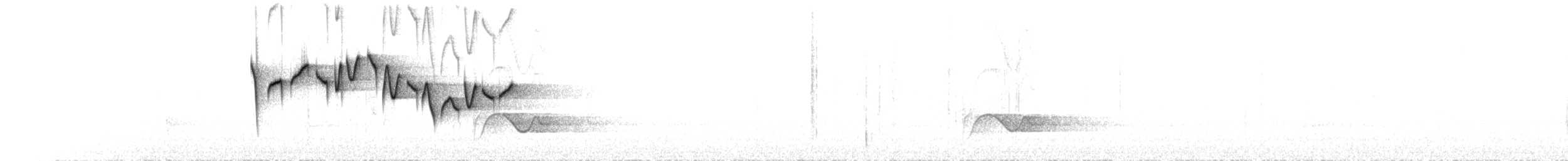 skjellstuttvinge (albiventer/pallidior) - ML172624061
