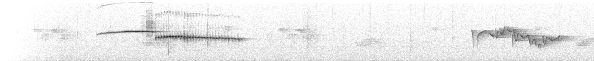 Blassbauch-Seidensänger - ML172624141