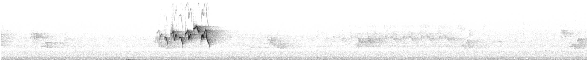 Magnolia Warbler - ML172682221