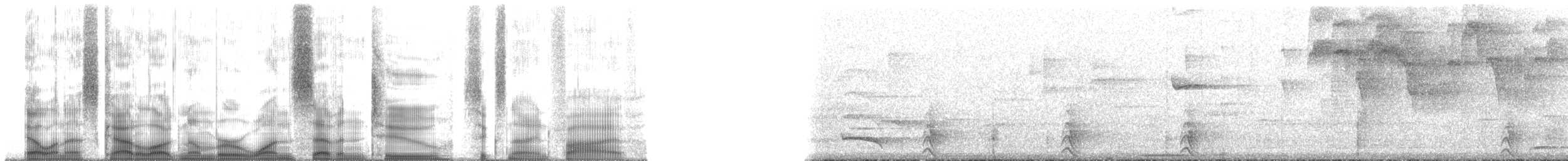 kvesal chocholatý (ssp. mocinno) - ML172695