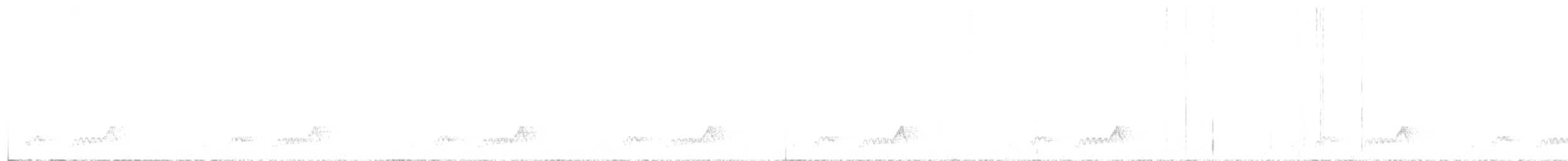 Mexikonachtschwalbe - ML172701521
