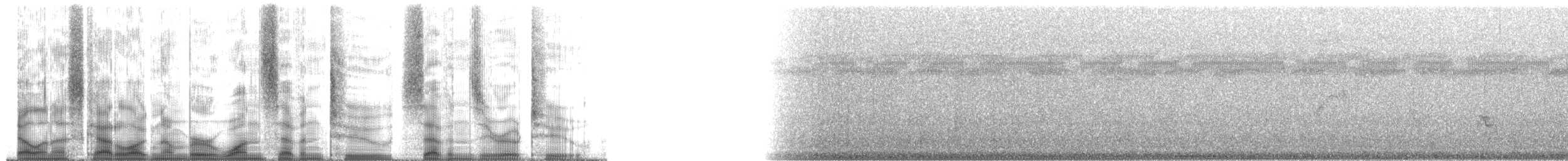 svarttoppmaurvarsler (canadensis gr.) - ML172702