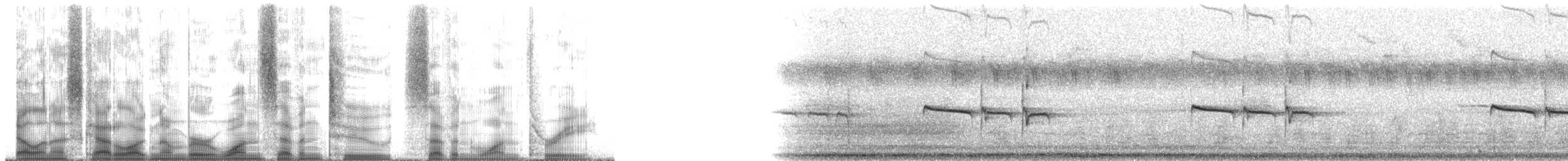 Тиранчик-тонкодзьоб південний [група pusillum] - ML172713