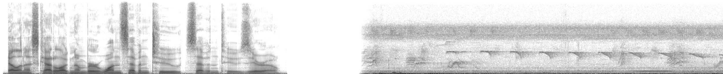 svarttoppmaurvarsler (canadensis gr.) - ML172720
