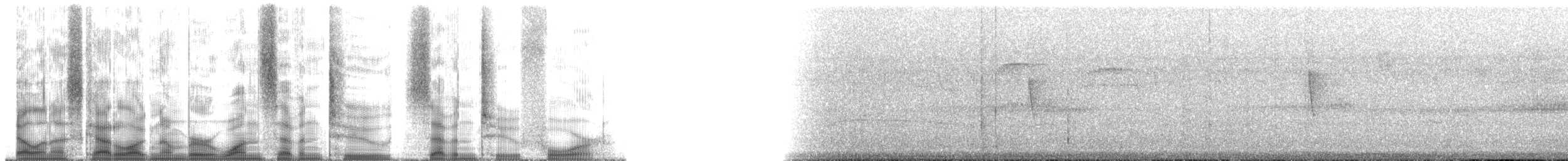 アカオキリハシ（ruficauda グループ） - ML172724