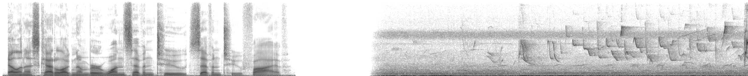 Pepitero del Orinoco - ML172725