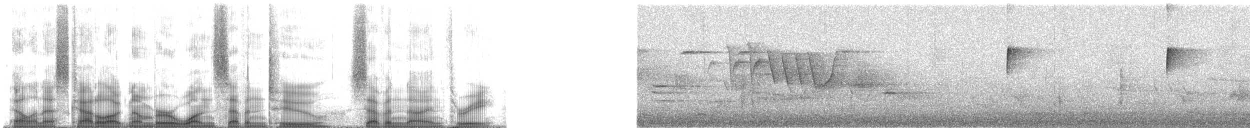 Paruline à calotte noire (pusilla) - ML172793