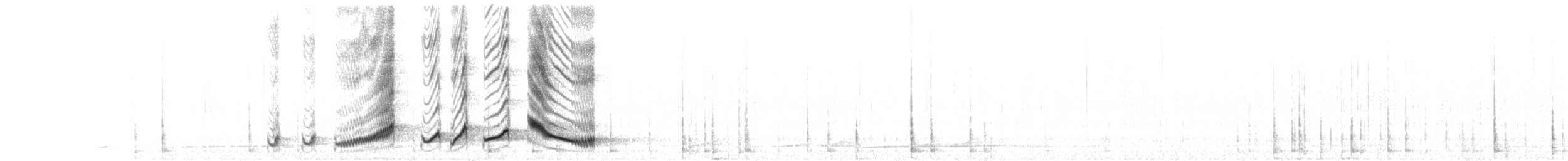 Grammatoptile strié - ML172800381
