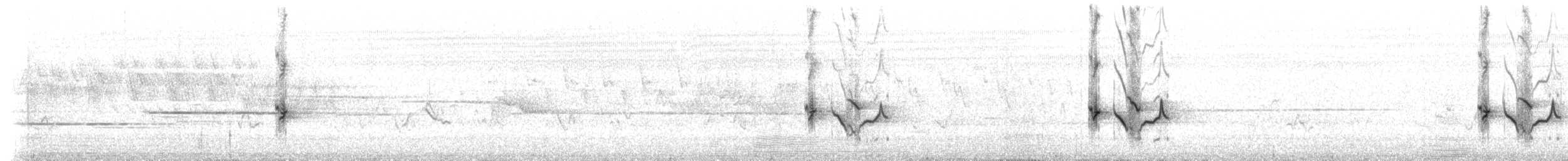 Чечевиця кармінова (підвид purpureus) - ML172805461