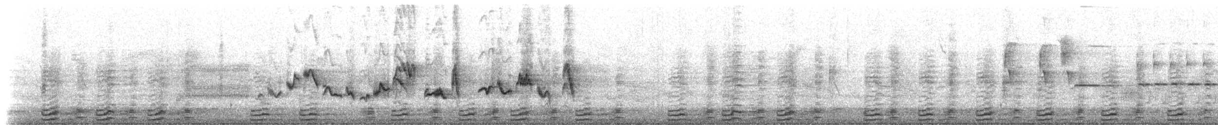 Eastern Warbling Vireo - ML172809251