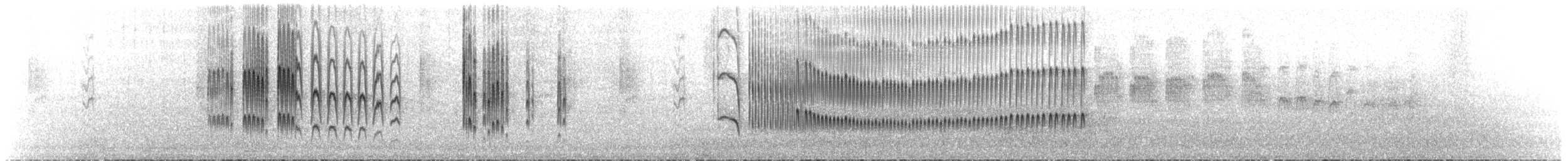 Graubrust-Tachurityrann - ML172809791