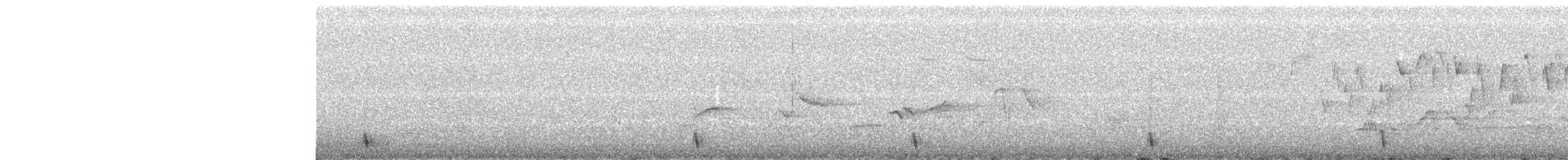 Pacific Wren - ML172814891