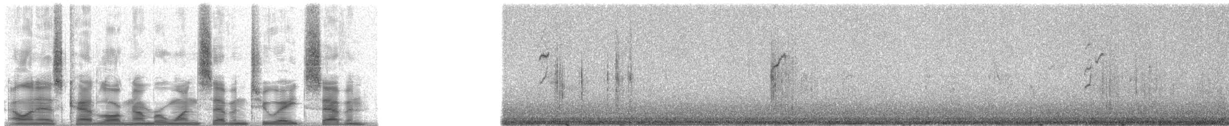 Lacrimose Mountain Tanager (lacrymosus) - ML17287