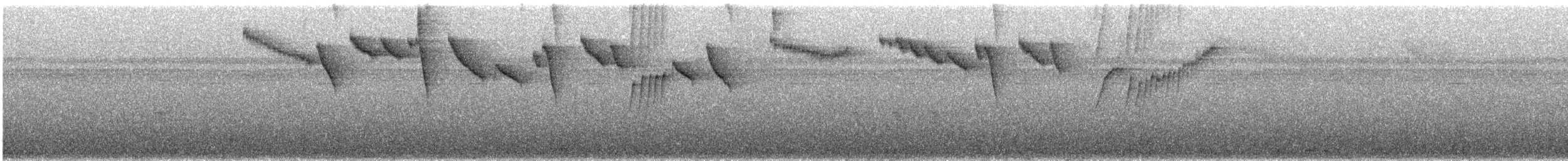 Бронзовый колибри-отшельник - ML172885061