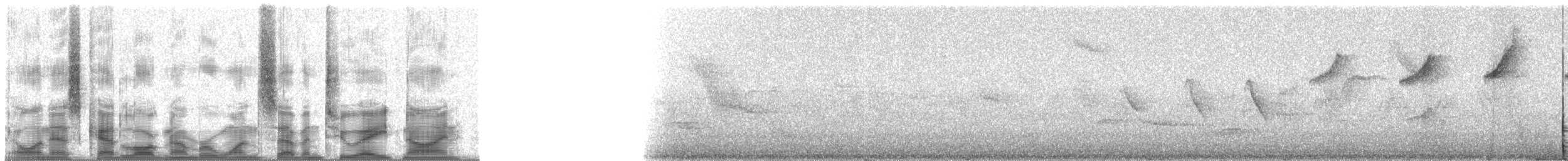 Kara Takkeli Hemispingus (auricularis) - ML17289
