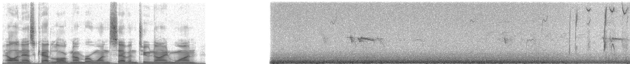 Lacrimose Mountain Tanager (lacrymosus) - ML17291