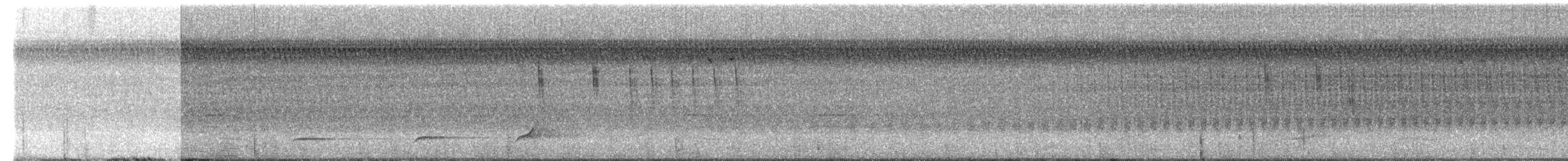 Troglodyte à bec court - ML172935381