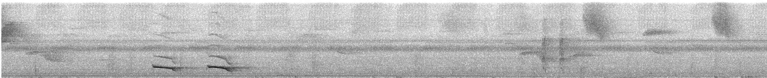 Trogon rosalba - ML172935881
