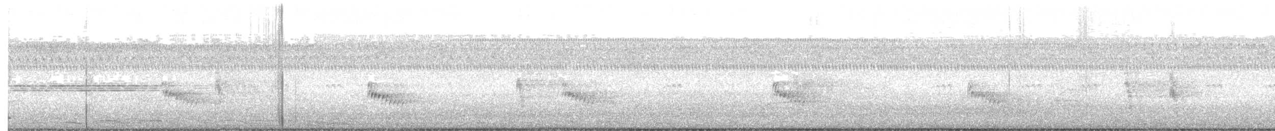 Поплітник каролінський - ML172936181