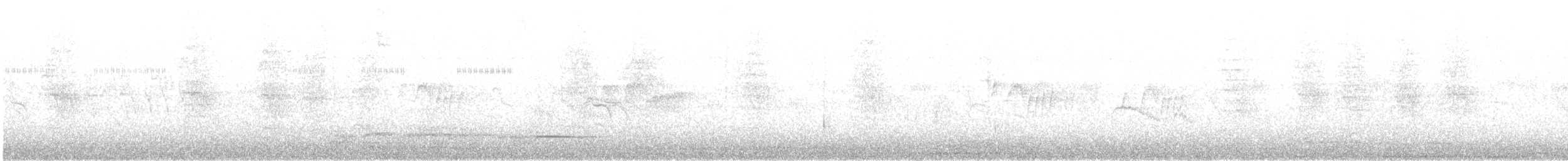 gulparula (petechia gr.) - ML172992121