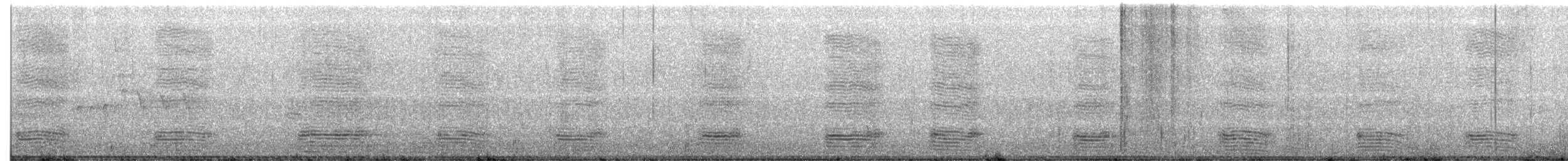 American Crow - ML173032731