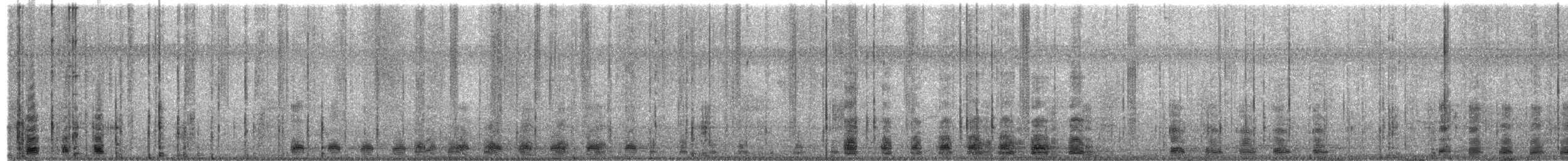 Antzara sp. (etxekoa) - ML173058521