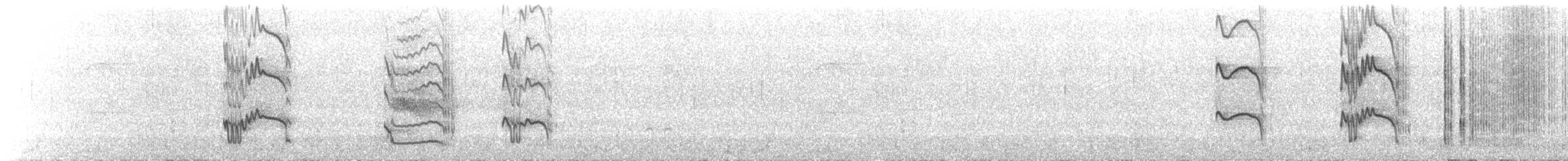 Попугаевый рогоклюв - ML173068861