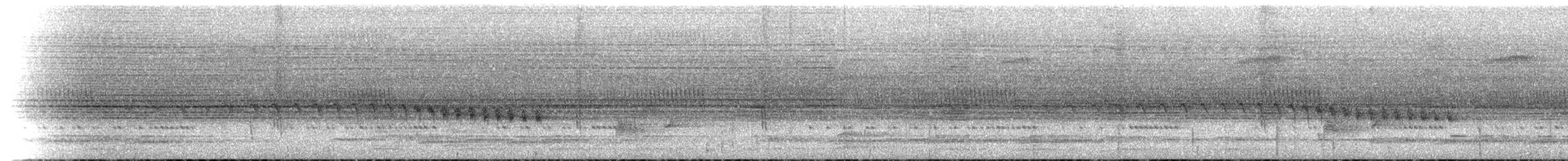 Grauwangen-Ameisenvogel - ML173073791