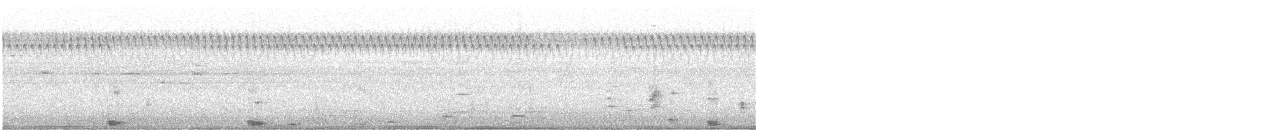 Пелікан рогодзьобий - ML173130691
