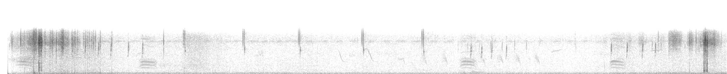 Cisticole des joncs - ML173148131