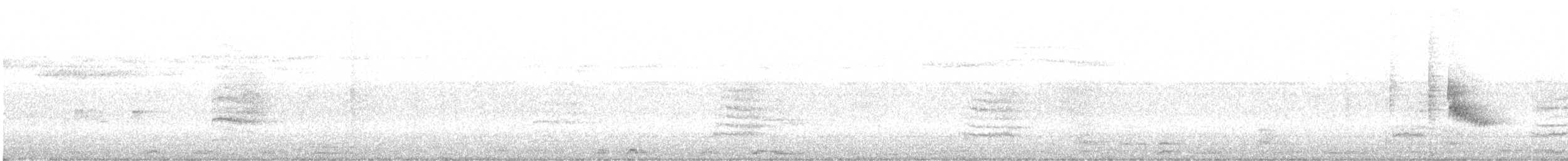 Каролинский крапивник - ML173163701