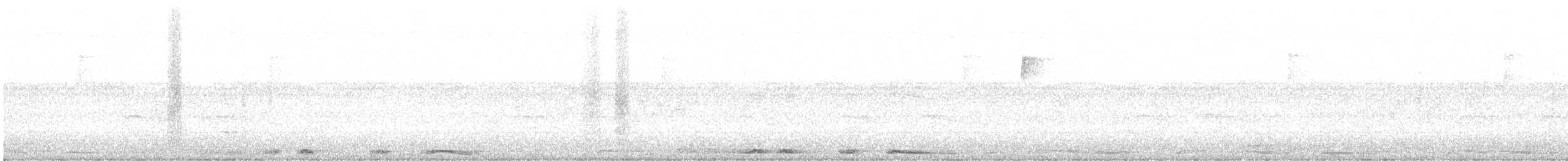 Белокрылая горлица - ML173164061