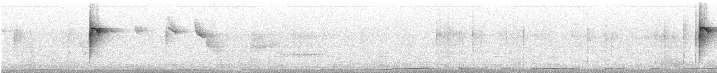 Paruline à paupières blanches - ML173228771