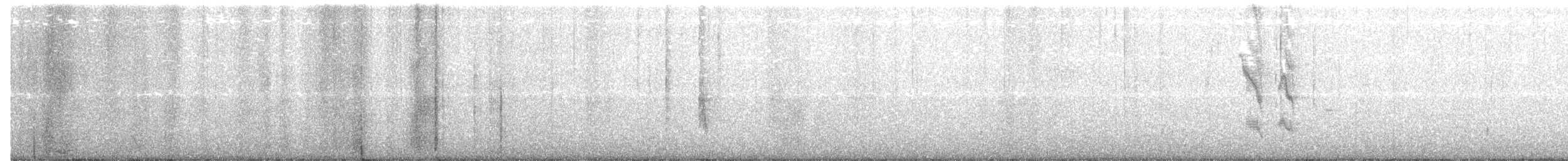 Northern Mockingbird - ML173232411