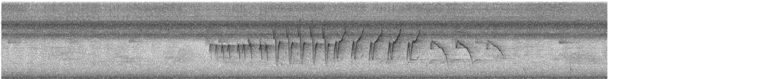 Protonoter Ötleğeni - ML173252791